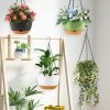 10 Inch Hanging Baskets