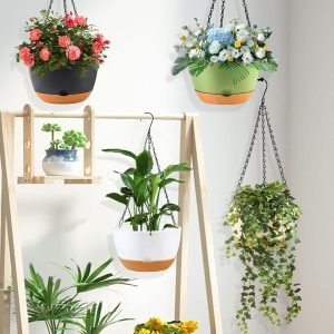 10 Inch Hanging Baskets