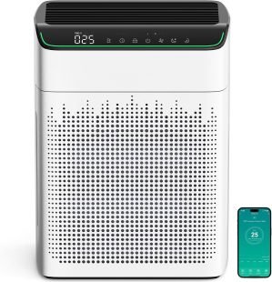 Air Purifiers