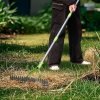 Thatch Rake