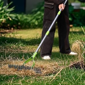 Thatch Rake