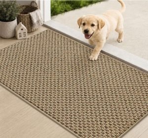 Door Mat Non-Slip Entryway Rugs