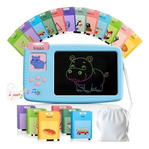 Talking Flash Cards