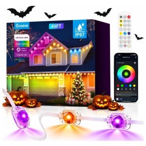 Permanent Outdoor Lights