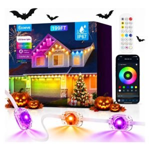 Permanent Outdoor Lights for House