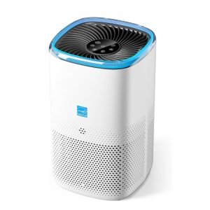 Air Purifier for Home Large Room