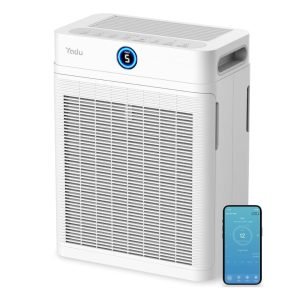 Air Purifier Large Room