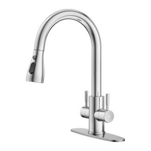 Kitchen Sink Faucet with Pull Down Sprayer