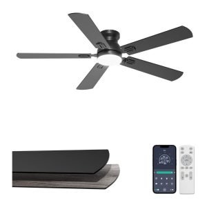 Ceiling Fan with Lights