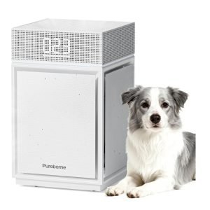 Air Purifiers