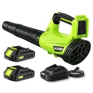 Leaf Blower with 2 Batteries
