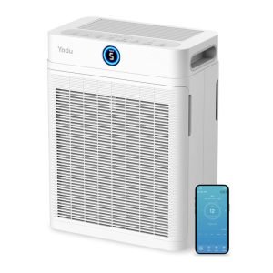 Air Purifier Large Room