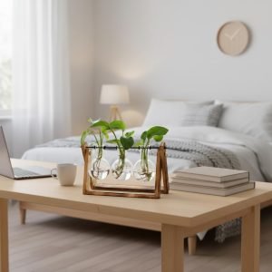 Plant Terrarium