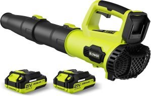 Cordless Leaf Blower