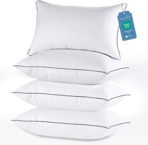 Queen Size Pillows – Set of 4