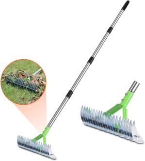 Adjustable Dethatching Rake for Grass & Garden