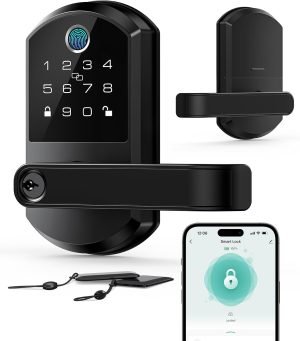 Smart Lock with Lever
