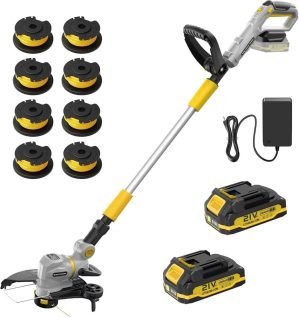 21V 2 in 1 Weed Wacker Cordless