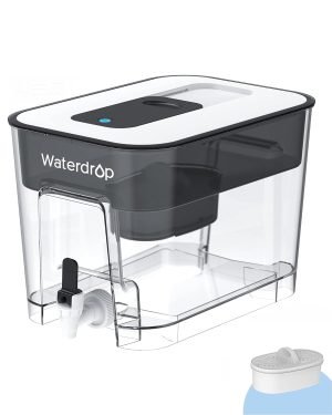 Waterdrop WFD-22L Large Water Filter Dispenser