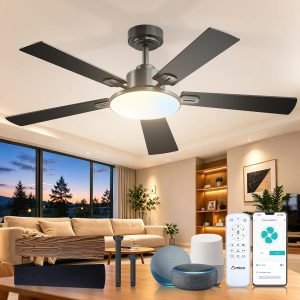 Ceiling Fan with Lights