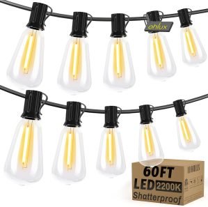 Bistro String Lights 60FT