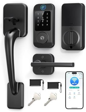 Wi-Fi Smart Front Door Lock Set