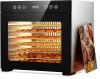 Food Dehydrator Machine 8 Trays Stainless Steel 650W