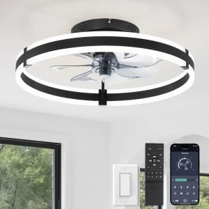 Ceiling Fans with Lights