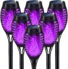 Solar Light 6-Pack