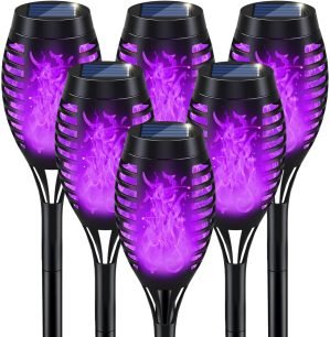Solar Light 6-Pack