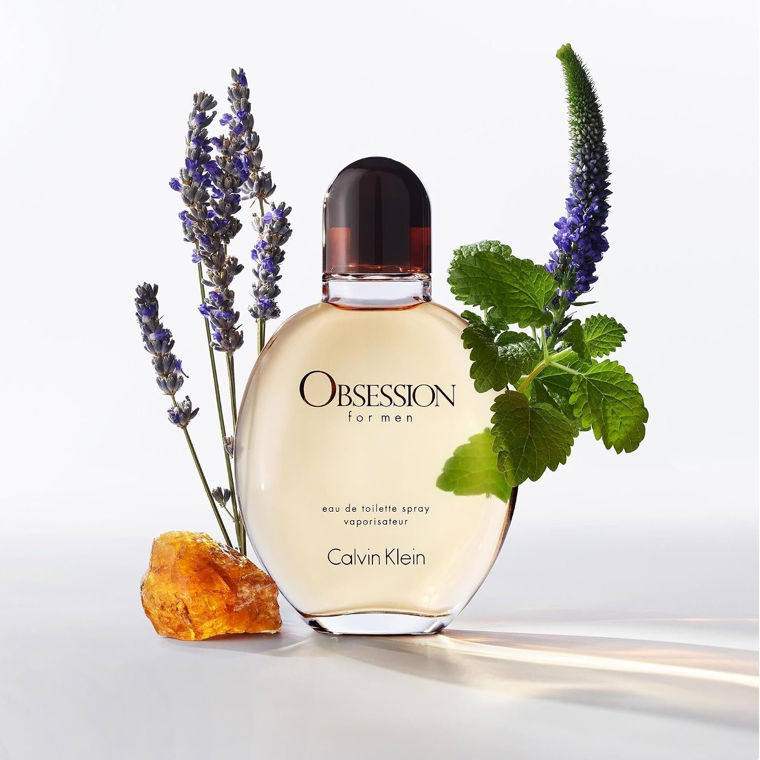 Calvin Klein Obsession for Men Eau de Toilette