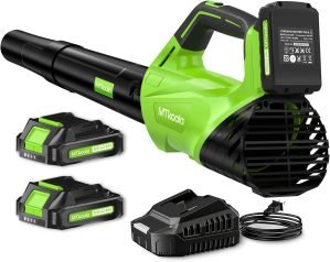 Upgrade Leaf Blower