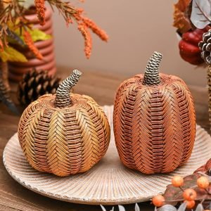 Thanksgiving Fall Decorations for Home