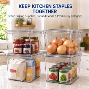 Extra Large Clear Storage Bins with Lids