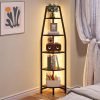 Corner Shelf with Lights