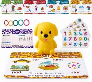 Flash Cards with Talking Pen for Toddlers