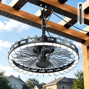 Outdoor Ceiling Fan with Light