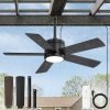 Outdoor Ceiling Fan with Light