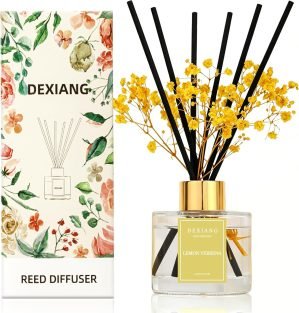 Reed Diffuser Set