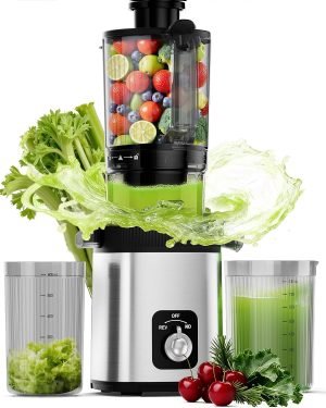Cold Press Juicer
