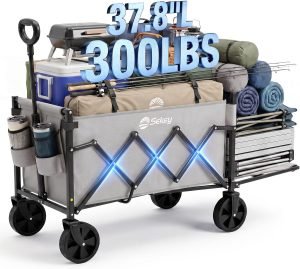Collapsible Wagon with Tailgate