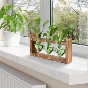Plant Terrarium Propagation Stations