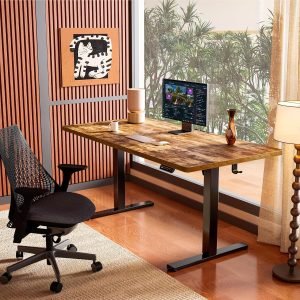 Height Adjustable Electric Standing Desk