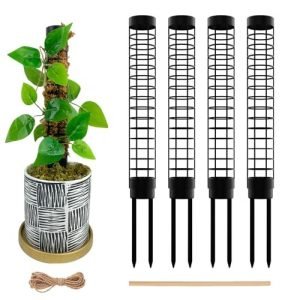 HYYZ Small Moss Pole