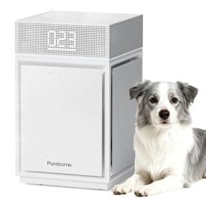 PUREBORNE Air Purifiers